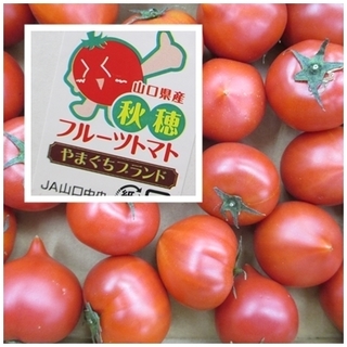 2018.4.9.jpg