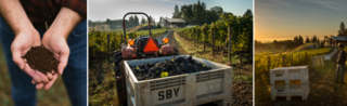 WebBanners-AlexandGrapes.png