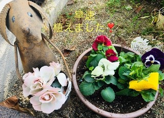thumbnail_IMG_4451.jpg